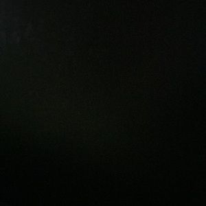 Meet your Posher, Daneisha